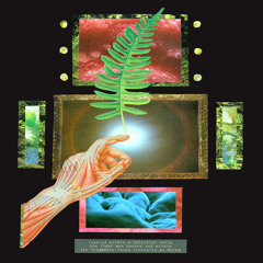 VAGUE IMAGINAIRES - AMATEUR EXOTIC'S FRAGMENTS OF SENSATIONS