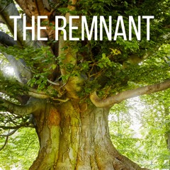 The Remnant Instrumental