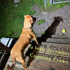 A Long December feat. Lauren G.S. (Counting Crows cover)
