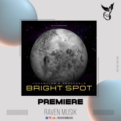 PREMIERE: Vakabular, Aerofeel5 - Bright Spot (Extended Mix) [Hollystone Records]