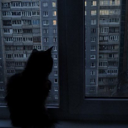не ждали