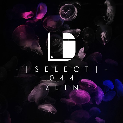 Drone Select 044 /// ZLTN