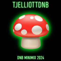DNB MINIMIX 2024