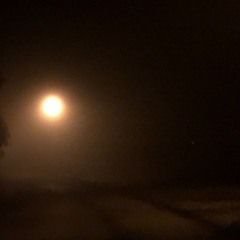 Where This World Ends