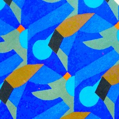 PREMIERE : Aaryan - Basstard (Buttress Records)