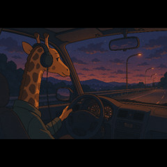 Coast Cruise
