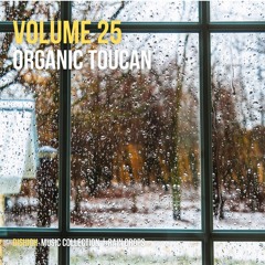 Organic Toucan Vol 25 - Sunday Moscow Rain Drops with Organic House
