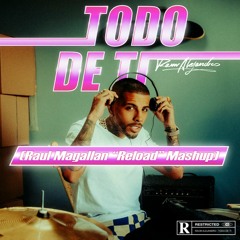 Rauw Alejandro - Todo De Ti (Raul Magallan "Reload" Mashup)