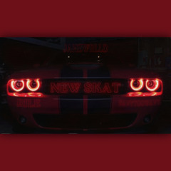 NEWSKAT ft.Rile,Savytooway