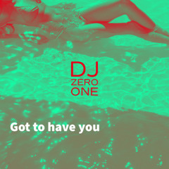 DJ Zero One - Got To Have You
