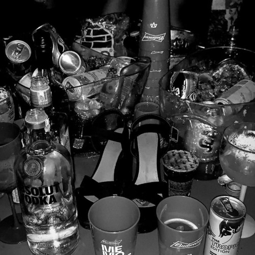 Do you want to party? #1
