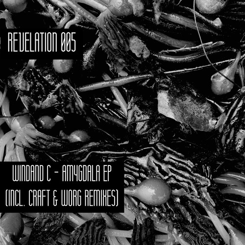 [PREMIERE] | WINDAND C – Inductive Inference  [ROS005]