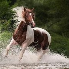 don’t take me home too soon, piano instrumental