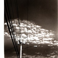 Wires - Crisscross - The - Sky