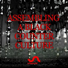Unsound Talk 07: Assembling a Black Counter Culture