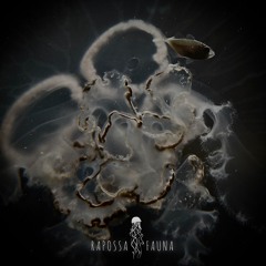 Rapossa - Fauna (Original Mix)