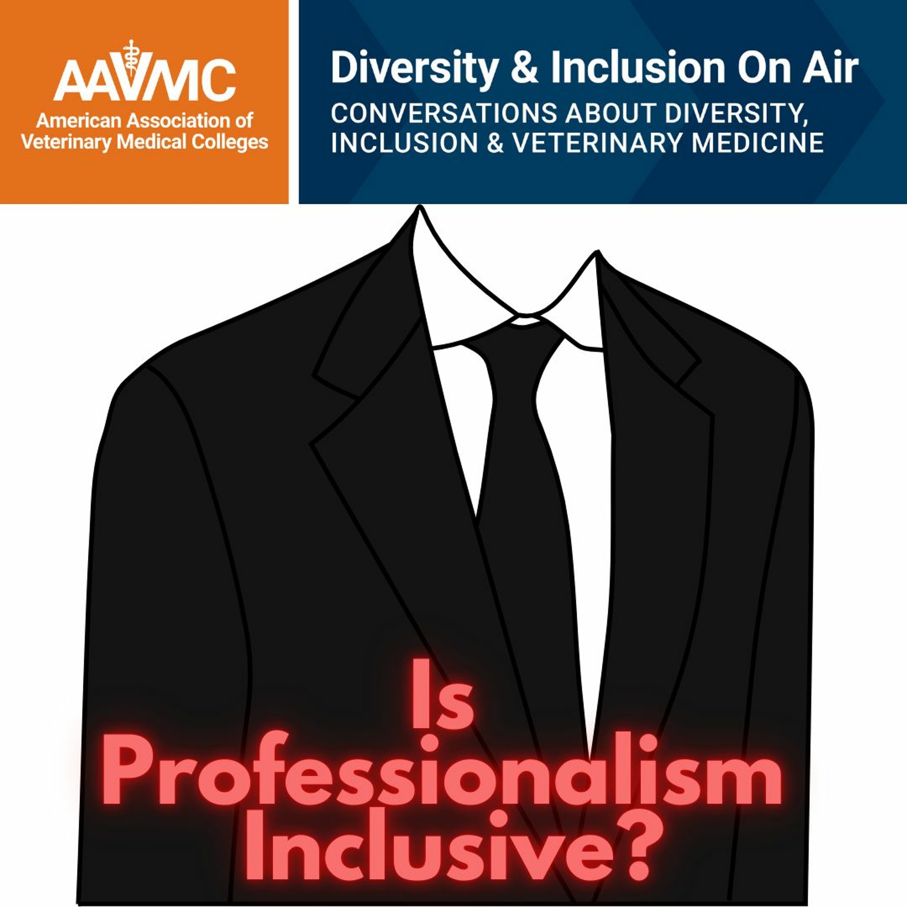 AAVMC\'s On Air: Conversations about Issues in Veterinary Medicine