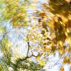 All In Her Head (P. Cartier + Cammy)