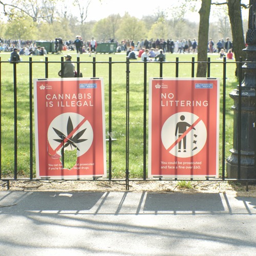 Marwan Elgamal 4/20 Interview with The Lead