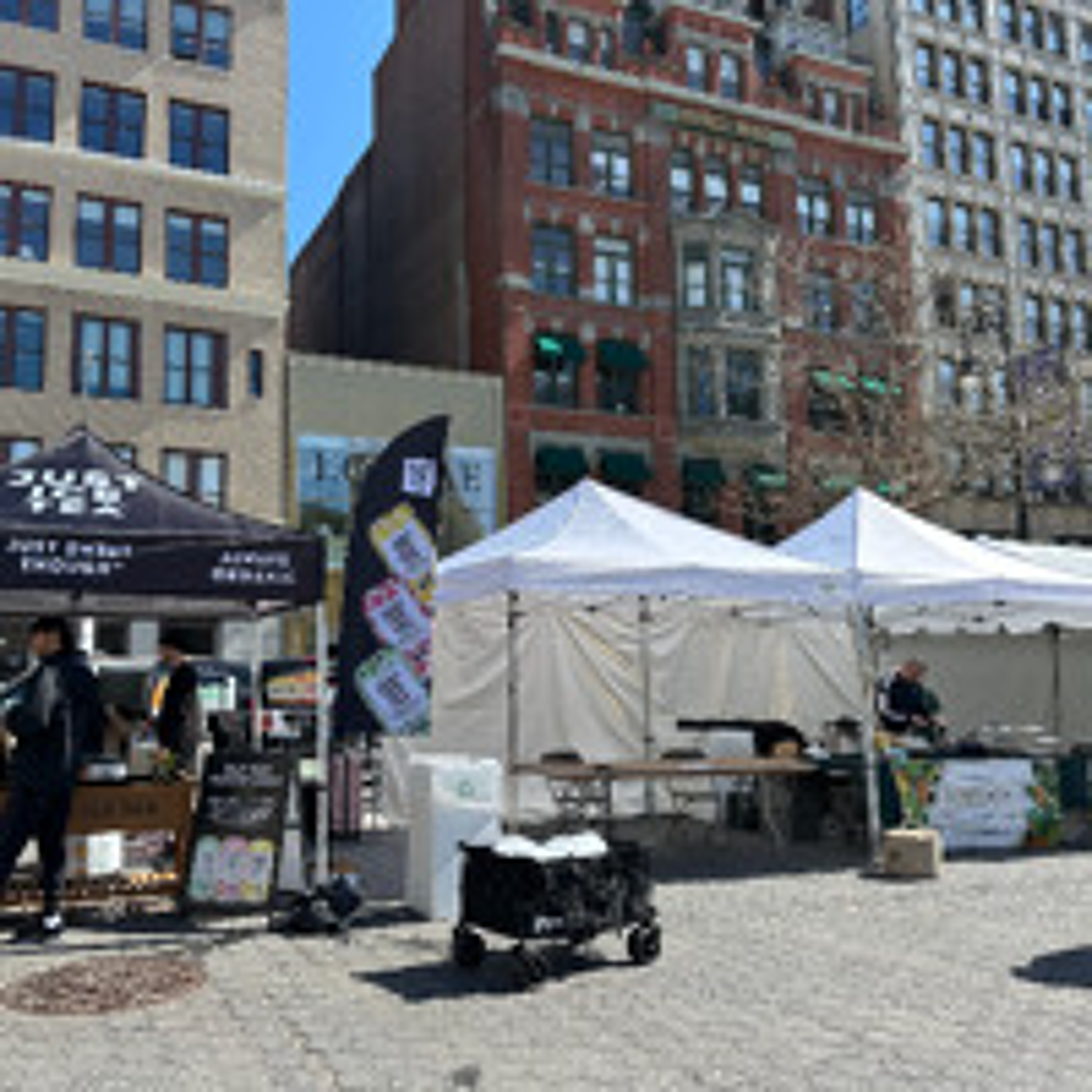Local Businesses Line Up for Annual Earth Day Festival episode artwork