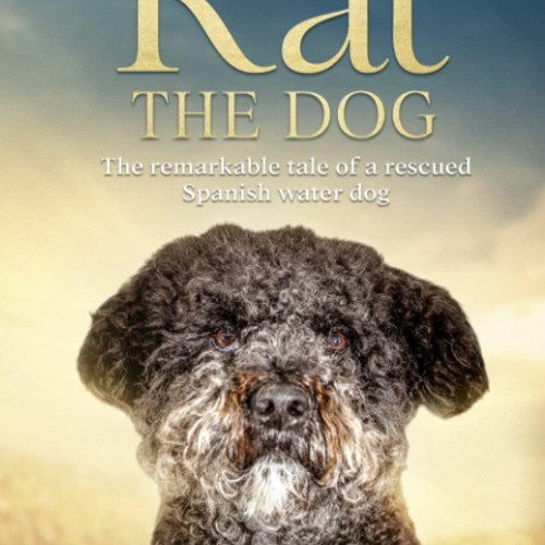 Spanish water hotsell dog book