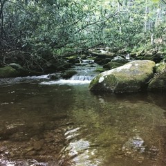 Hold Me, Hold Me Down