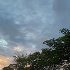 أواخر سورة يس / د. أحمد العربي