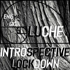Enigmatic Logic (AcidCore)
