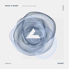 Gianet - What U Want [Acrylic Music TV Records]