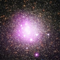 Scheme (Tof Balasakis, Charlotte Lecouillard, Thibault Minguet)