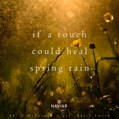haiku #433: if a touch / could heal / spring rain