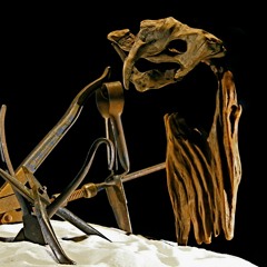 Stonebelly - Wild Theatre - 2011