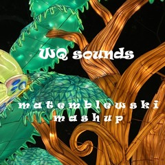 Matemblewski Mashup Pack [Electro House, Tech House, EDM]