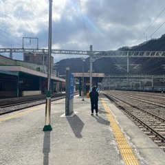 철암역 무궁화