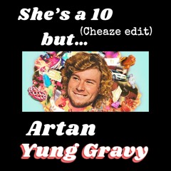 ARTAN, Yung Gravy - She's A 10 But... (Cheaze EDIT)