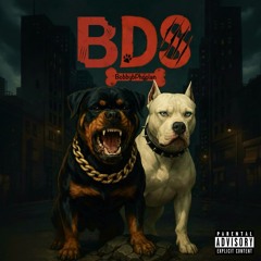 BDS (Prod. DictionaryX)