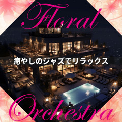 The Night Of the Passion