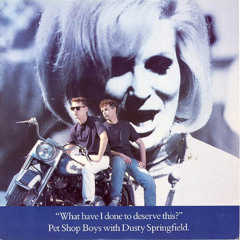 Pet Shop Boys with Dusty Springfield - What have i done to deserve this ? (Florish Forest Rare Analog Remix 2025)