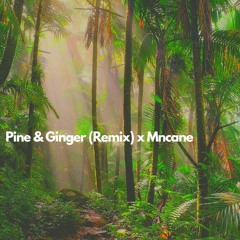 Pine & Ginger (Remix) X Mccane