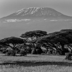 Kilimanjaro (2016) Anthology CD2 Track 04