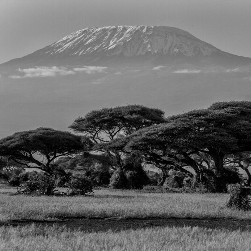 Kilimanjaro (2016) Anthology CD2 Track 04