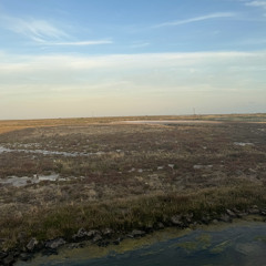 marchsnippets 2/2 sorry, i missed ya text