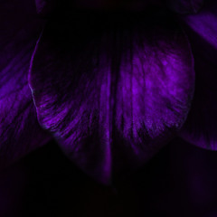 Hidden 10