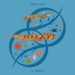 Forest Knot - 4 Months