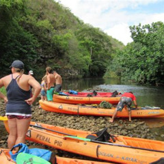 Review Special Price Guided Secret Falls Tour With Snacks And Drinks