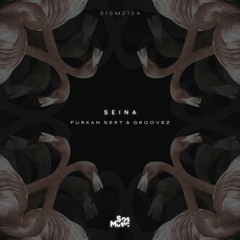 Furkan Sert & Groovez - Seina
