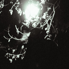 Scullious X D Double E - The Coldest Dub