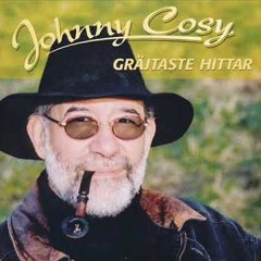 Johnny Cosy  - Helsingborgs Visan
