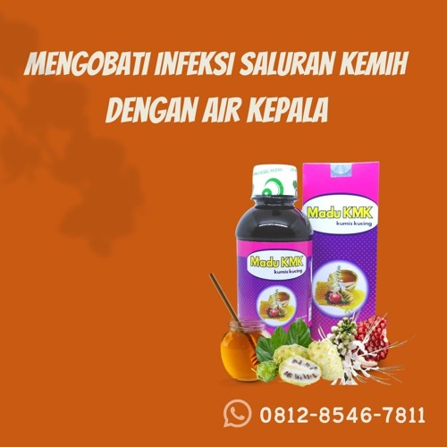 Mengobati Infeksi Saluran Kemih Dengan Air Kelapa Madu KMK (0812-8546-7811)