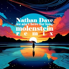 Nathan Dawe - We Ain't Here For Long - molenstein remix
